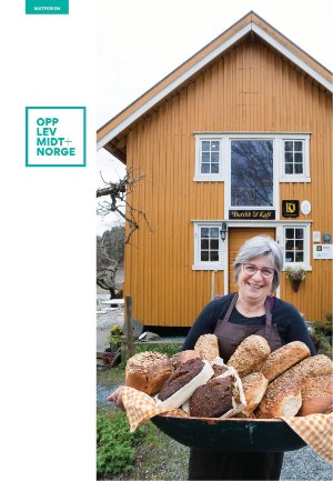 tronderbladet_bilag-20220520_000_00_00_088.pdf