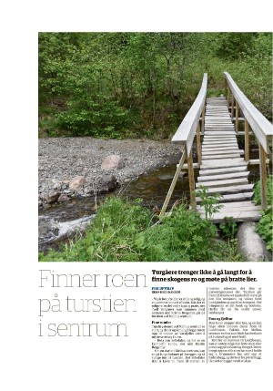 tronderbladet_bilag-20220617_000_00_00_012.pdf