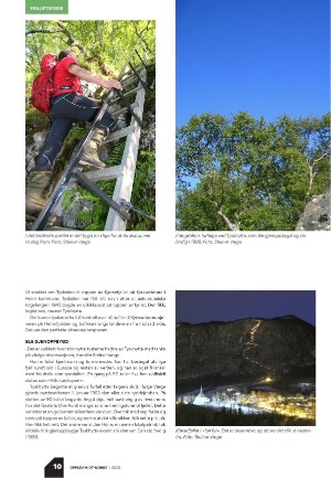 tronderbladet_bilag-20230523_000_00_00_010.pdf