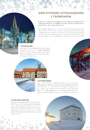 tronderbladet_bilag-20241119_000_00_00_046.pdf