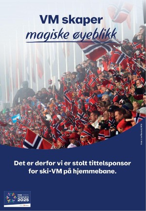 tronderbladet_bilag-20241119_000_00_00_050.pdf