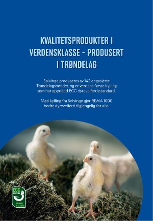 tronderbladet_bilag-20241119_000_00_00_084.pdf