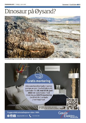 tronderbladet_seksjon-20230613_000_00_00_019.pdf