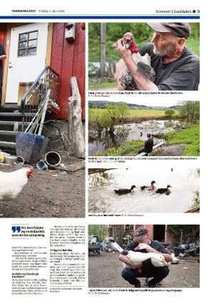 tronderbladet_seksjon-20230613_000_00_00_031.pdf