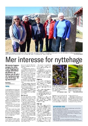 trysilengerdal-20250424_000_00_00_024.pdf