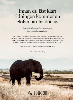 tv-20220829_000_00_00_067.pdf