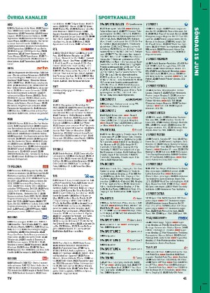 tv-20250609_000_00_00_041.pdf