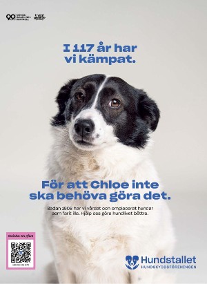 tv14-20250524_000_00_00_002.pdf