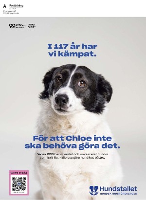 tv14-20250620_000_00_00_156.pdf