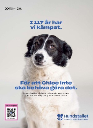 tv14-20250705_000_00_00_002.pdf