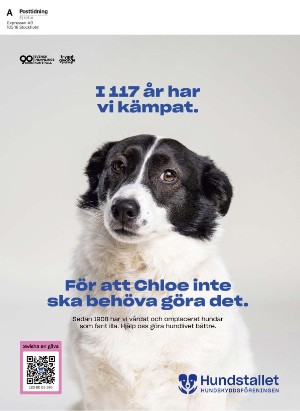tv14-20250816_000_00_00_156.pdf