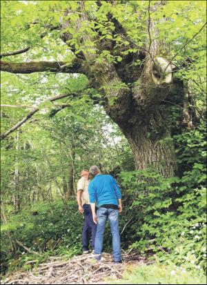 tysnes_bilag-20180614_000_00_00_078.pdf