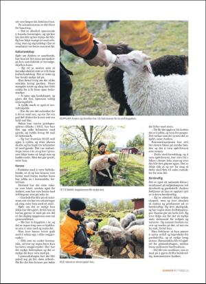 tysnes_bilag-20200604_000_00_00_021.pdf