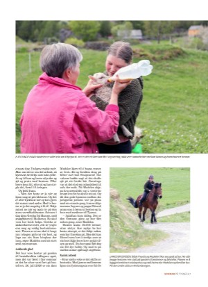 tysnes_bilag-20210610_000_00_00_067.pdf
