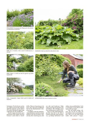 tysnes_bilag-20240606_000_00_00_049.pdf