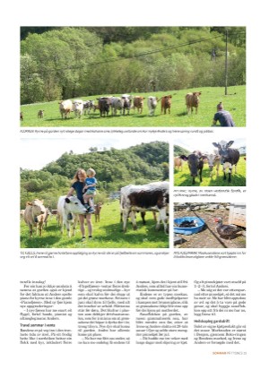 tysnes_sommer-20240606_000_00_00_015.pdf