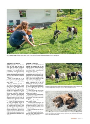 tysnes_sommer-20240606_000_00_00_017.pdf