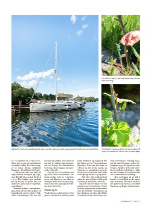 tysnes_sommer-20240606_000_00_00_029.pdf