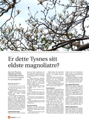 tysnes_sommer-20250612_000_00_00_038.pdf