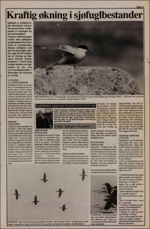 tysvarbygdeblad-19940609_000_00_00_009.pdf