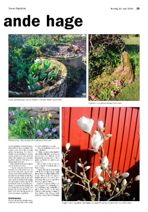 tysvarbygdeblad-20250410_000_00_00_025.pdf