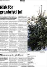 unt_bostad-20051211_000_00_00_004.pdf