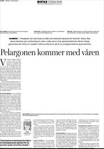 unt_bostad-20060319_000_00_00_008.pdf