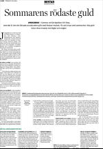 unt_bostad-20060702_000_00_00_008.pdf