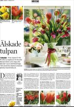 unt_bostad-20070127_000_00_00_006.pdf