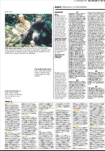 unt_tv-20051104_000_00_00_015.pdf