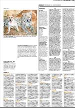 unt_tv-20051216_000_00_00_003.pdf