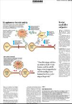upsalanyatidning-20061029_000_00_00_025.pdf