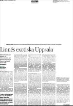 upsalanyatidning-20061217_000_00_00_042.pdf
