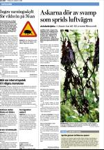 upsalanyatidning-20080812_000_00_00_010.pdf