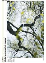 upsalanyatidning-20100505_000_00_00_030.pdf