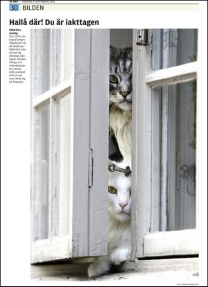 upsalanyatidning-20100909_000_00_00_030.pdf