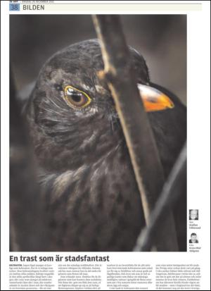 upsalanyatidning-20111228_000_00_00_038.pdf
