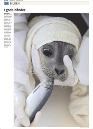 upsalanyatidning-20120115_000_00_00_030.pdf