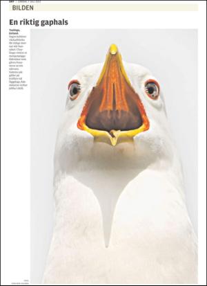 upsalanyatidning-20120707_000_00_00_026.pdf