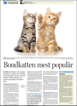 upsalanyatidning-20130311_000_00_00_024.pdf