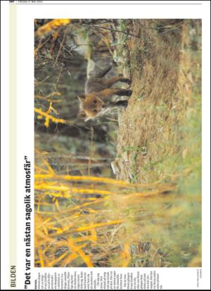 upsalanyatidning-20130517_000_00_00_034.pdf