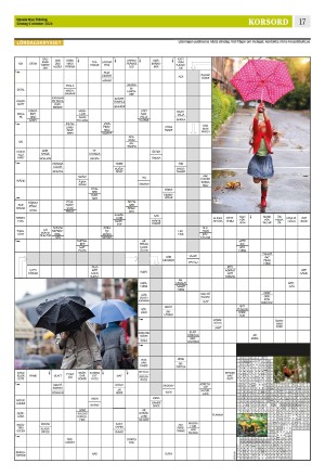 upsalanyatidning-20241006_000_00_00_017.pdf