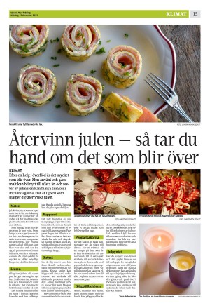 upsalanyatidning-20251215_000_00_00_015.pdf