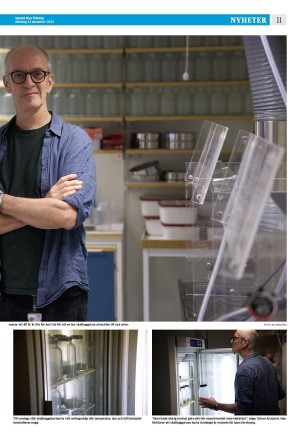 upsalanyatidning-20251222_000_00_00_011.pdf