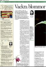 upsalanyatidning_b-20090613_000_00_00_002.pdf