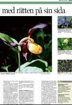 upsalanyatidning_b-20090613_000_00_00_003.pdf