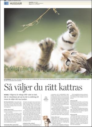 upsalanyatidning_b-20120814_000_00_00_006.pdf