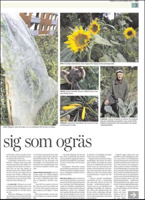 upsalanyatidning_b-20120916_000_00_00_003.pdf