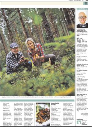 upsalanyatidning_b-20120920_000_00_00_011.pdf