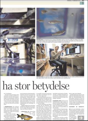 upsalanyatidning_b-20130217_000_00_00_003.pdf